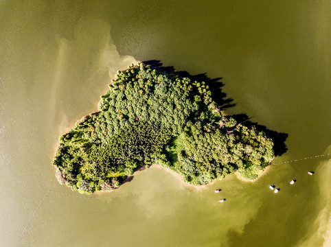 广东省清远市飞来湖湿地公园湖心