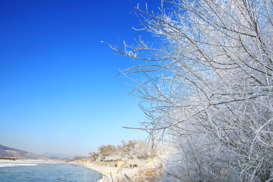 雾凇岛蓝天雪景