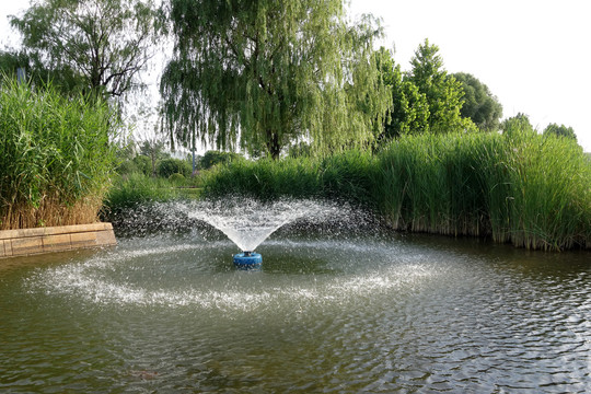 园林喷泉水景