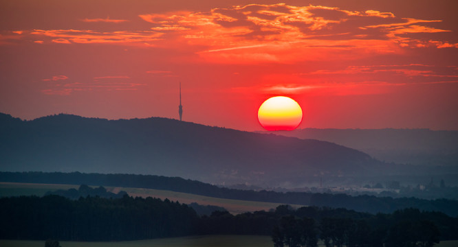 夕阳红