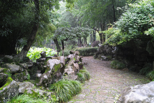 江南雨季