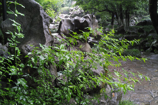 江南雨季