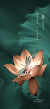 節(jié)氣海報