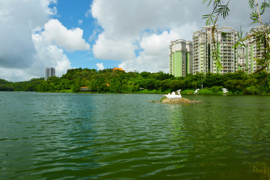 阳江鸳鸯湖风景