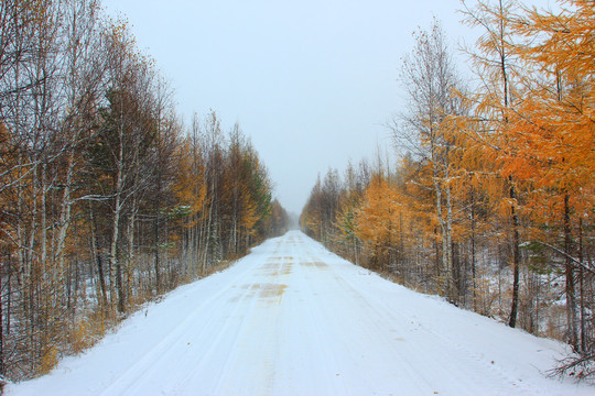 林海公路秋雪