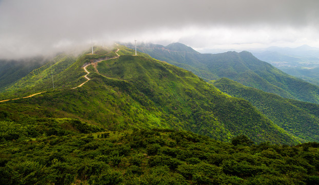 青山