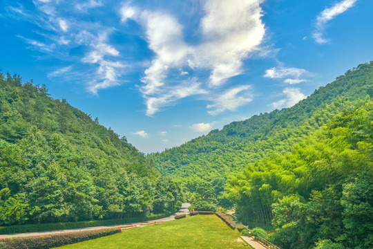 宜兴竹海风景区