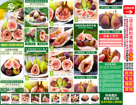 無花果詳情頁主圖