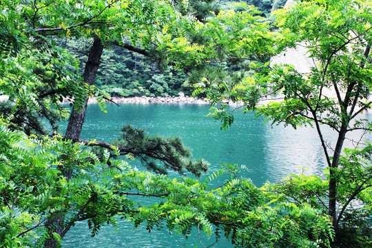 山水风景