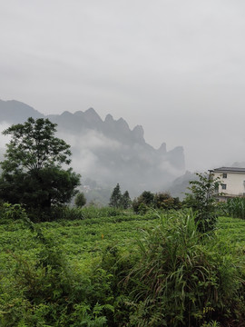 大山里的雾气