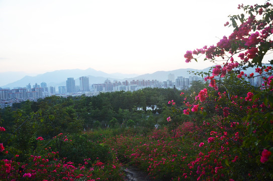 黄昏城市