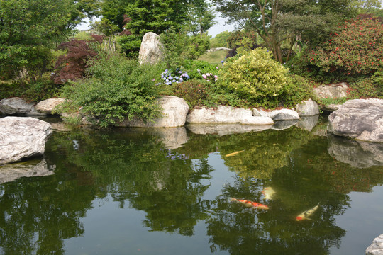 无锡九龙湾花朝园假山池塘