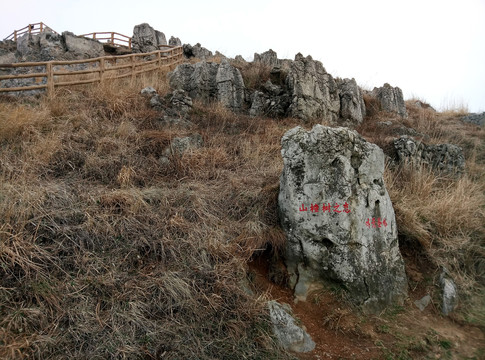 山楂树外景地