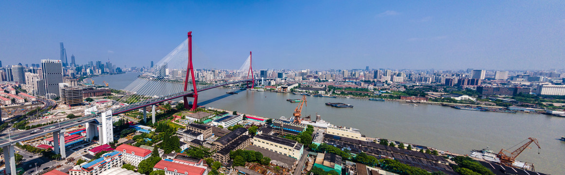 黄浦江杨浦大桥全景