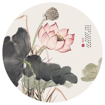 寫意荷花