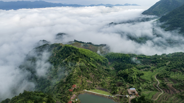 高山云雾