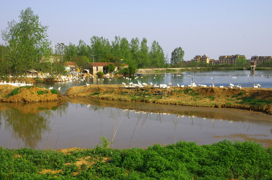 池塘养殖场