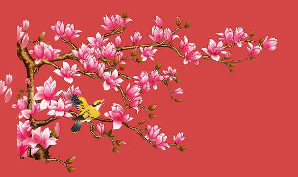 旱蓮插畫