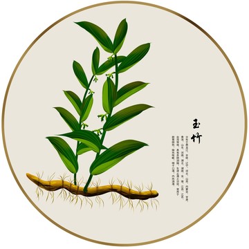 玉竹