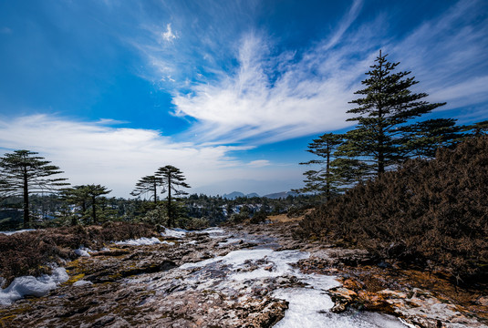 轿子雪山