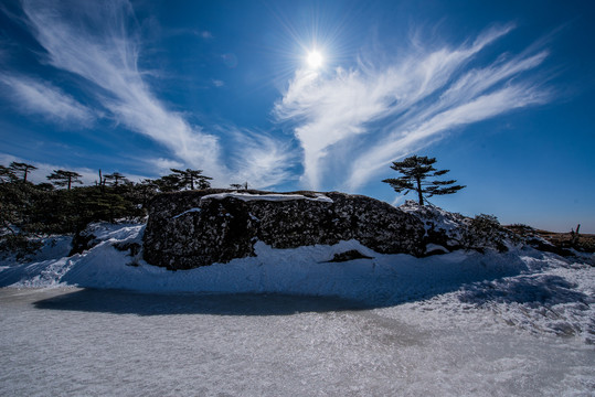 雪景