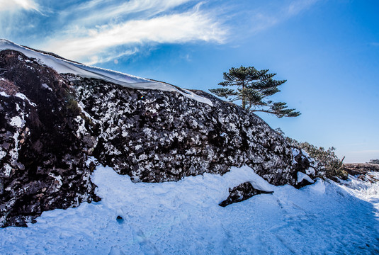 雪景