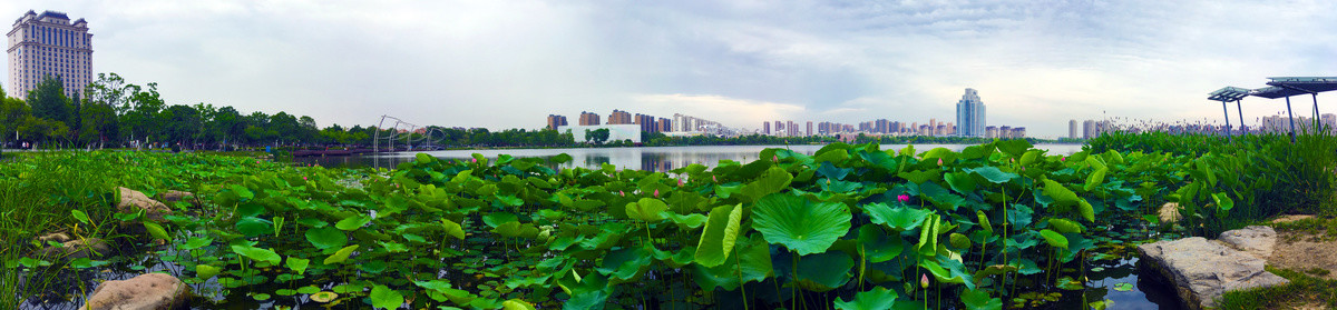 龙池湖金陵学府处全景图