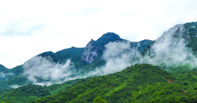 风景