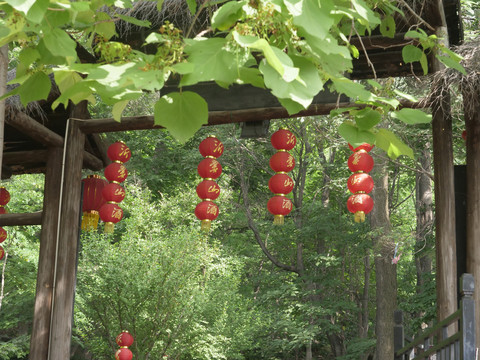 怀旧照片北方民居画意山村