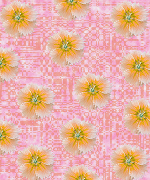 數(shù)碼印花