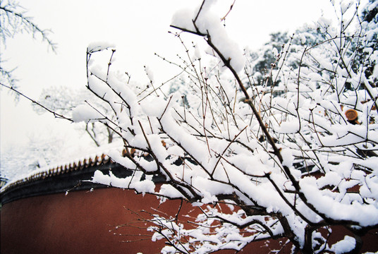 故宫红墙雪景