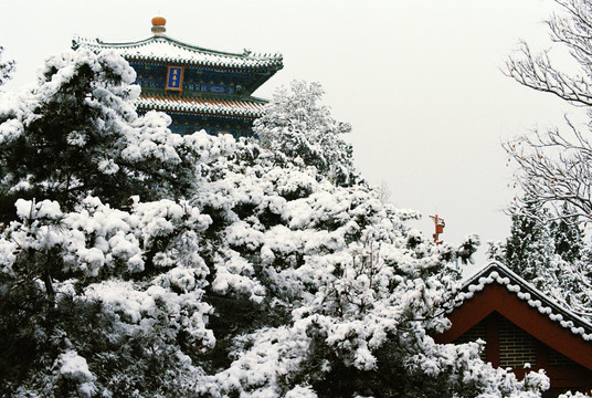 景山公园万春亭雪景