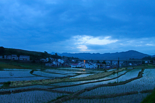 中峰贡米基地GQ