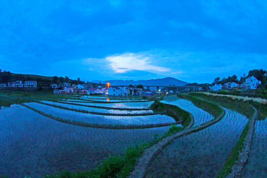 中峰贡米基地GY