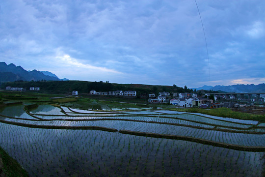 中峰贡米基地GB