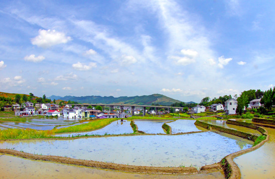 中峰贡米基地HP