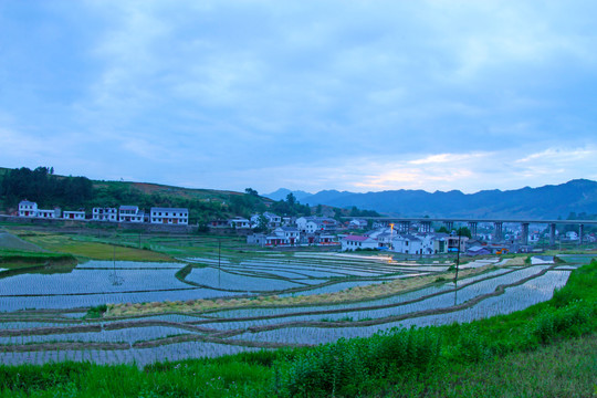 中峰贡米基地GK