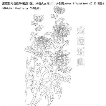 菊花手绘线稿图AI格式菊花线