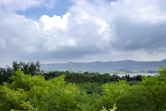 青山绿水