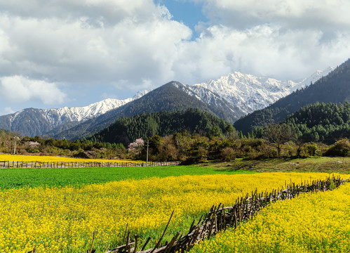 林芝风光