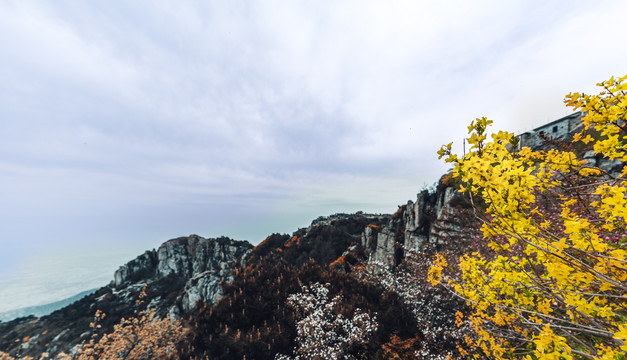 泰山旅游