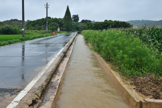 水沟