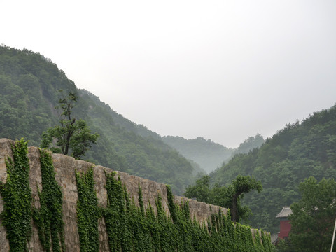 秀美的伏牛山风景