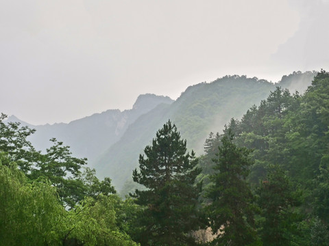 秀美的伏牛山风景