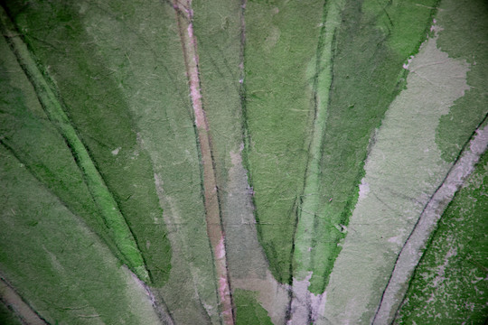 绿色树叶背景纹理