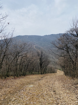 龙王山绝望坡