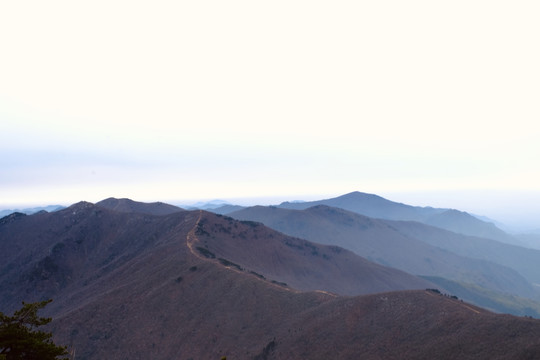 龙王山