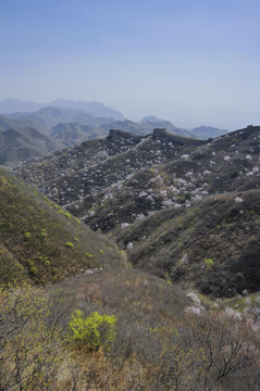 金山岭长城