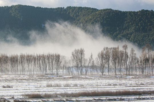 念湖雪景