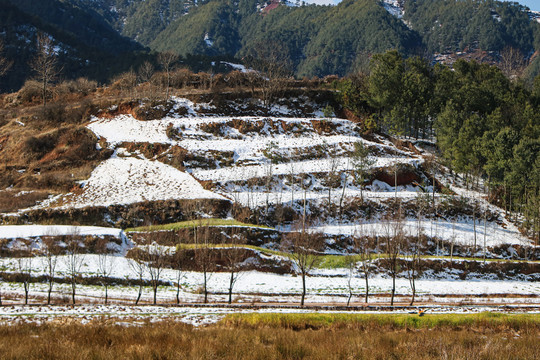 山地雪景